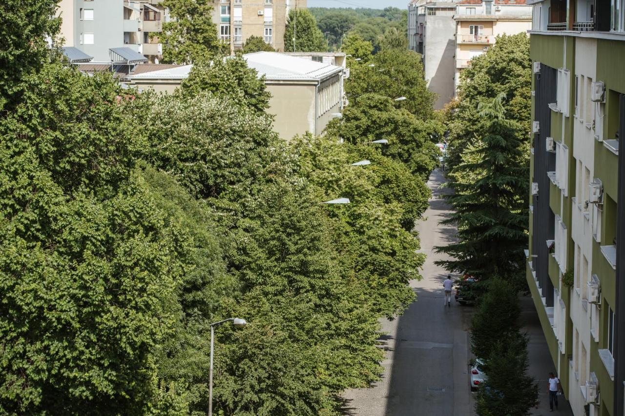 Old Town Flat Daire Novi Sad Dış mekan fotoğraf